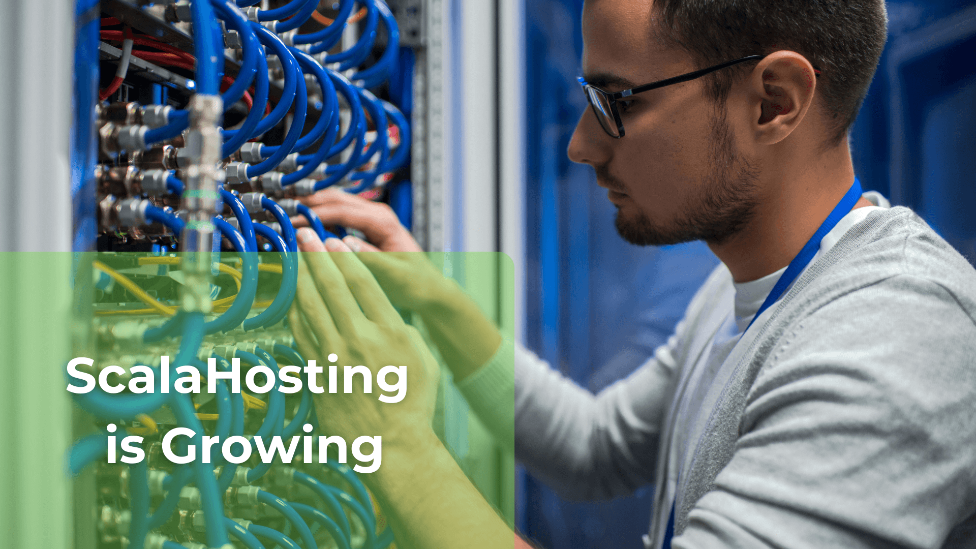 ScalaHosting is Growing