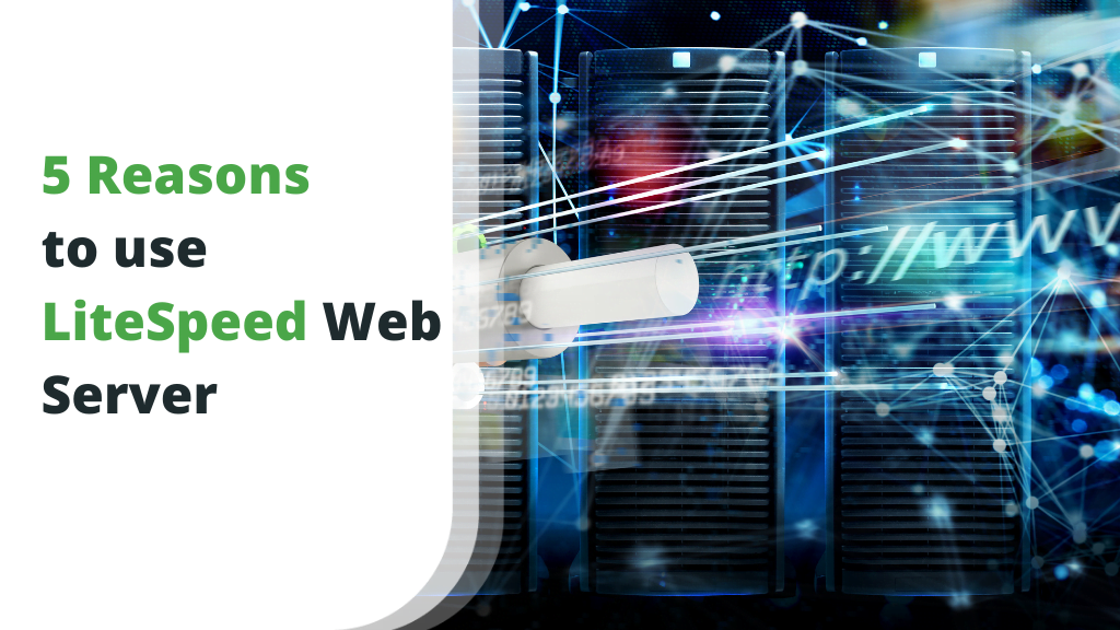 5 Reasons to Use LiteSpeed Web Server