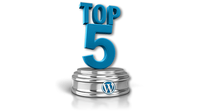 A Quick Guide for Managing Your WordPress Website A Quick Guide for Managing Your WordPress Website, What happens when your WP website becomes popular?