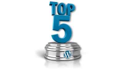 A Quick Guide for Managing Your WordPress Website A Quick Guide for Managing Your WordPress Website, What happens when your WP website becomes popular?