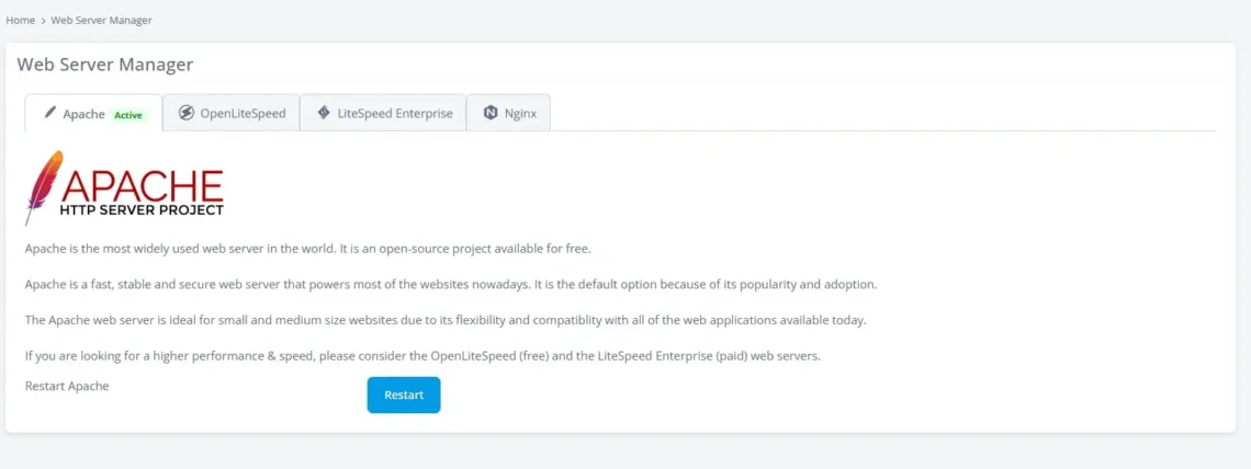 What Is a Web Server? What Is a Web Server?, Choosing the Right Web Server – Practical Advice
