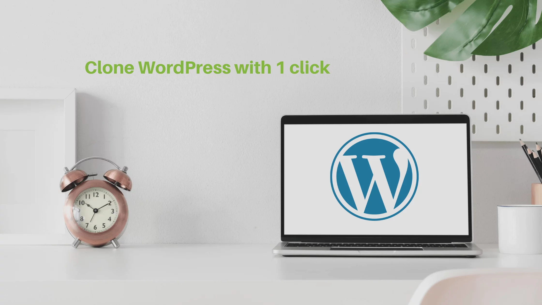 Clone-WordPress-with-1-click