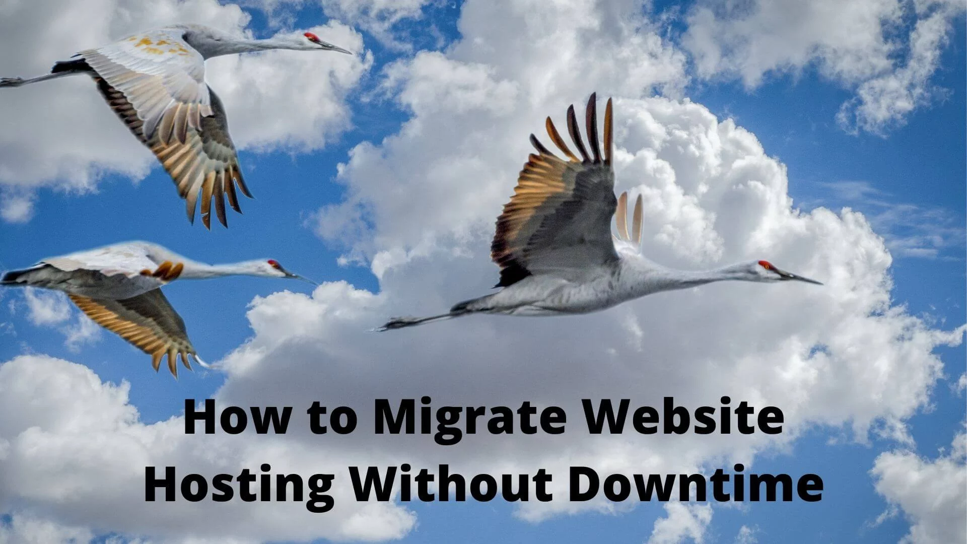 How-to-Migrate-Website-Hosting-Without-Downtime-1