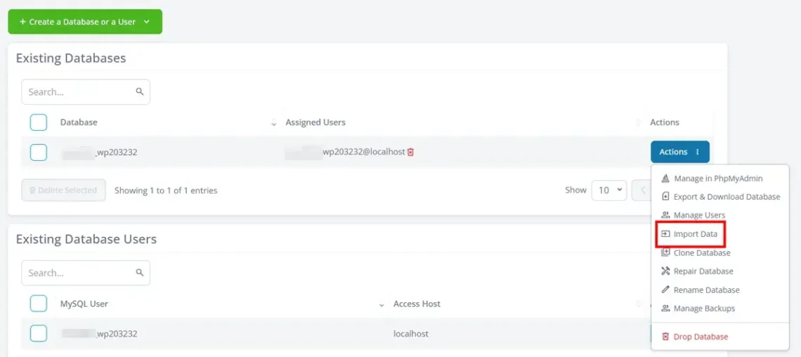 Website Migration Without Downtime: Full Checklist, 1. Through the SPanel interface 2
