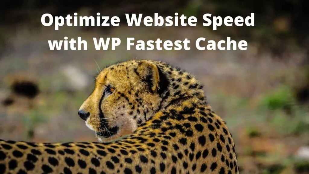 Optimize Website Speed with WP Fastest Cache