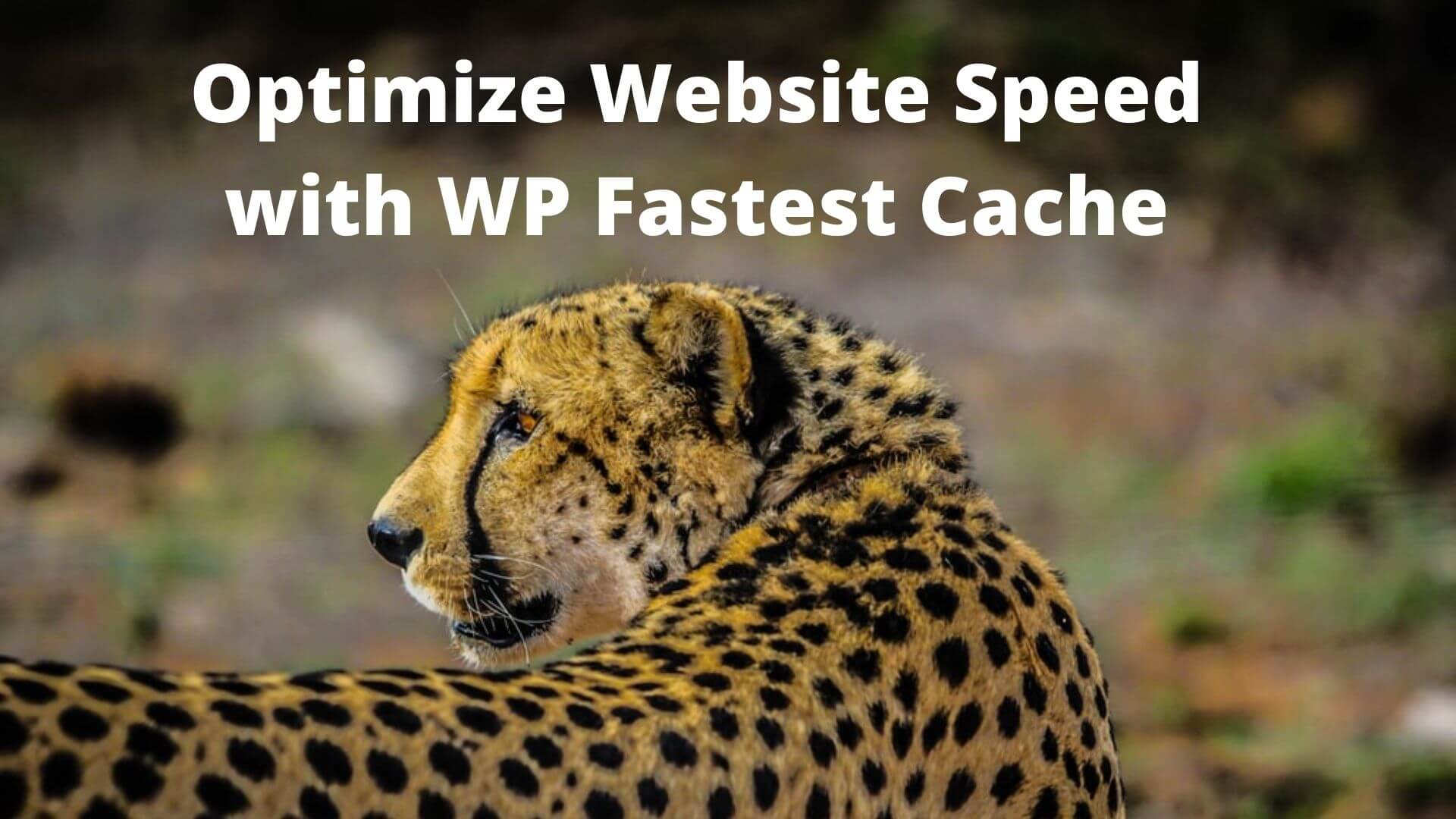 Optimize-Website-Speed-with-WP-Fastest-Cache-1