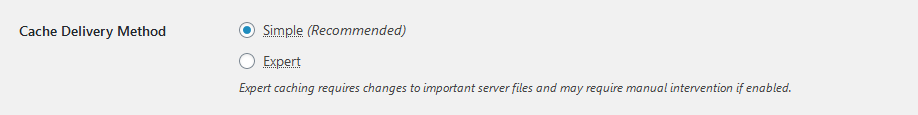 WP Super Cache: Ultimate Guide to Speed Setup and Optimization WP Super Cache: Ultimate Guide to Speed Setup and Optimization, Advanced settings