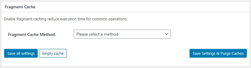 Optimize Website Speed with W3 Total Cache Optimize Website Speed with W3 Total Cache, Fragment Cache