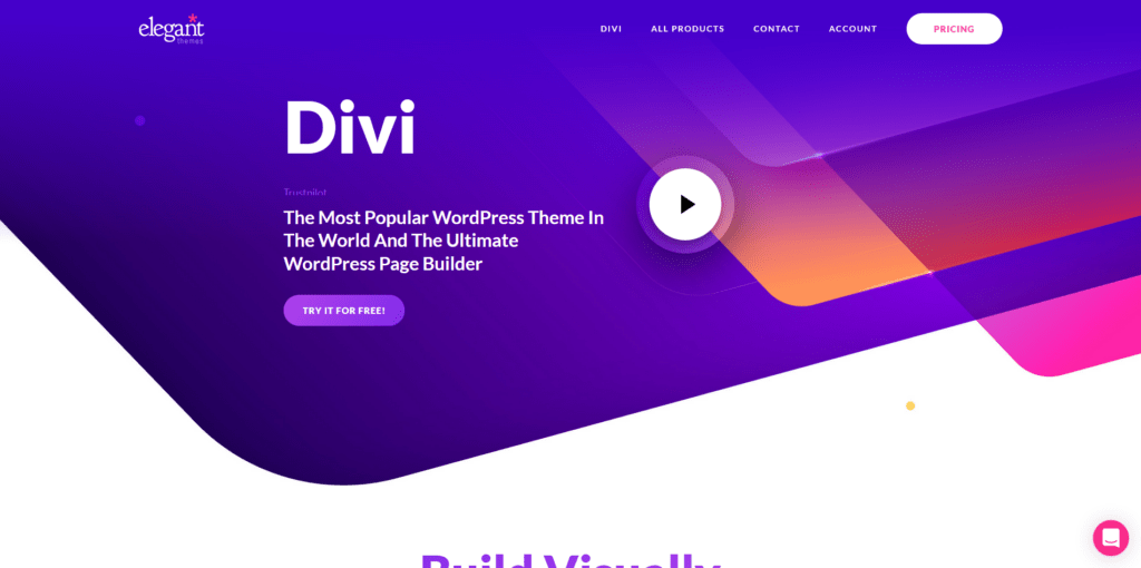 What Are the Top WordPress Themes in 2025? What Are the Top WordPress Themes in 2025?, Divi