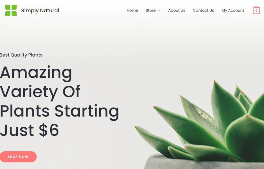 The 7 Best WooCommerce Themes of 2023 The 7 Best WooCommerce Themes of 2023, Astra