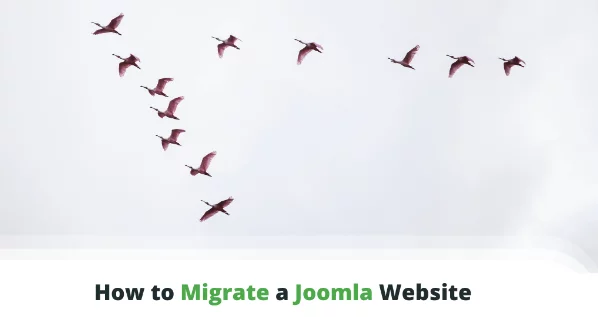 How to Migrate a Joomla Website