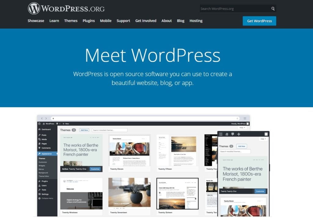 WordPress.com vs. WordPress.org – Which to Choose?, What is WordPress.org?