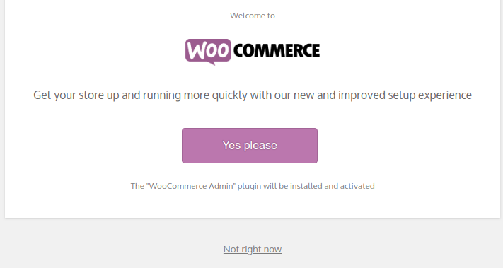 Setting up Your WooCommerce Store