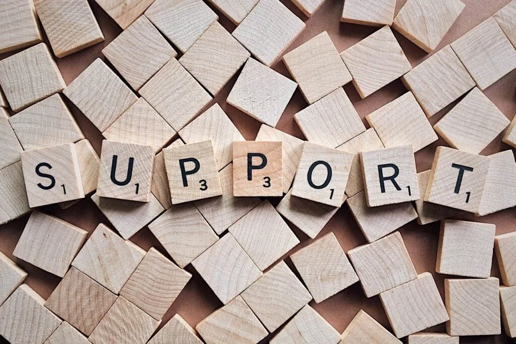 What Is Shared Hosting vs. VPS? What Is Shared Hosting vs. VPS?, Customer Service
