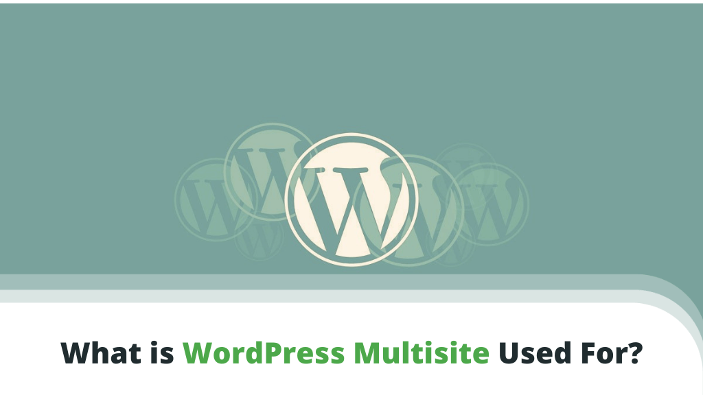 What is WordPress Multisite Used For? What is WordPress Multisite Used For?