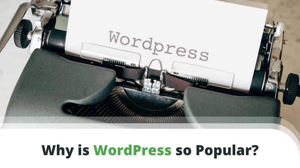 10 Reasons Why WordPress Is so Popular 10 Reasons Why WordPress Is so Popular