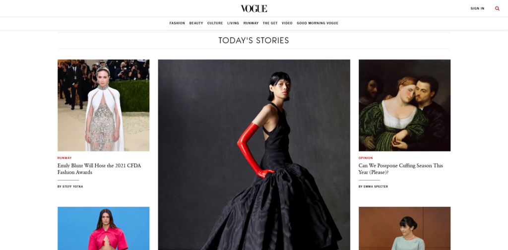 What is WordPress? How Does It Work?, Vogue