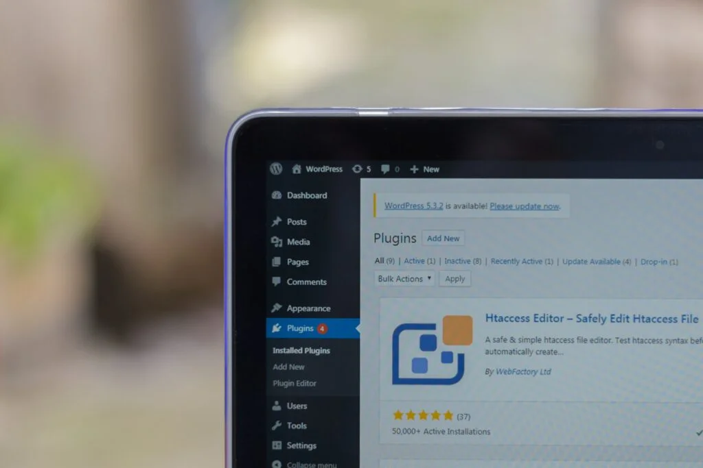 What is a WordPress Plugin? What is a WordPress Plugin?, Don’t forget the budget