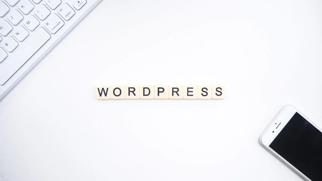 What is WP-CLI? A Beginner's Guide What is WP-CLI? A Beginner’s Guide