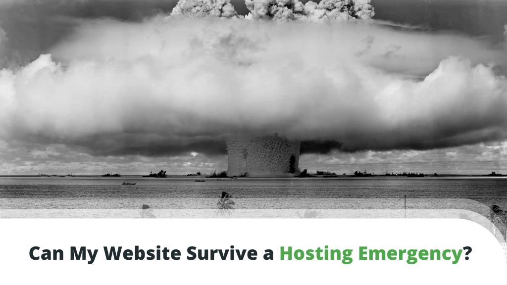 Can my Website Survive a Hosting Emergency?