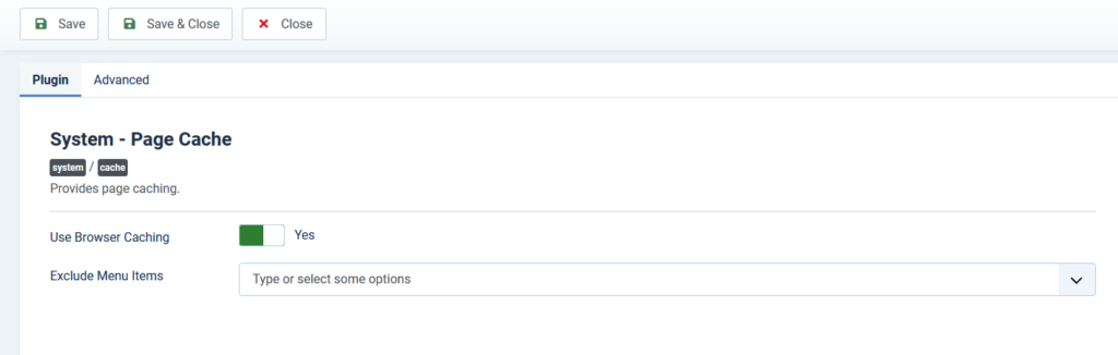 How to Speed Up My Joomla Website? How to Speed Up My Joomla Website?, Enable Browser Caching 2