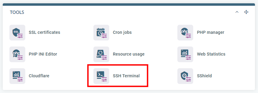 SSH Terminal in SPanel