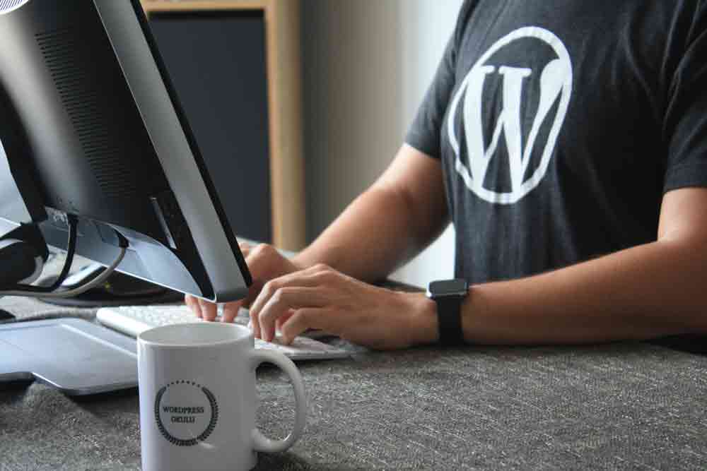 How to Set Up WooCommerce on WordPress?, What Is WooCommerce?