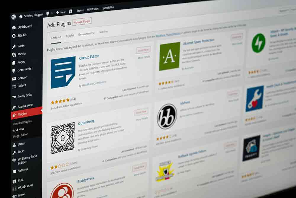 How to Set Up WooCommerce on WordPress? How to Set Up WooCommerce on WordPress?, Adding Extensions