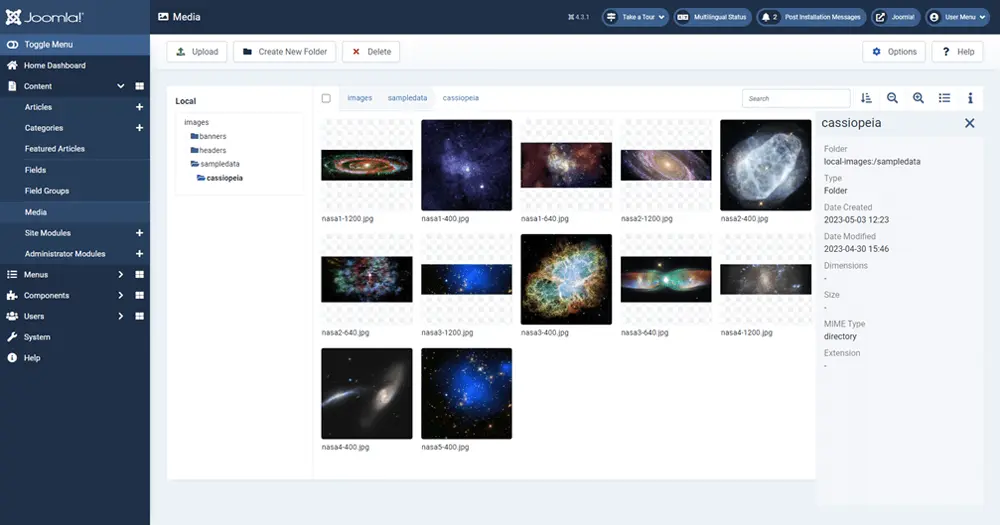 How to build a profitable web development agency with Joomla & ScalaHosting How to build a profitable web development agency with Joomla & ScalaHosting, Easy to use 2