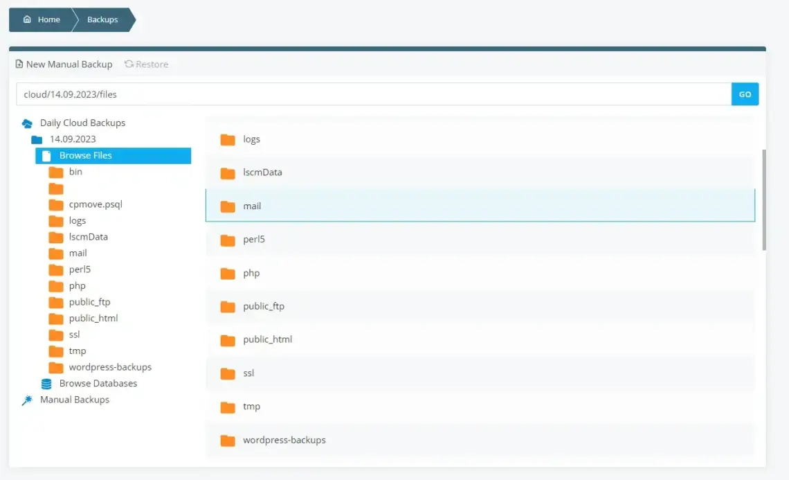 Backups and Disaster Recovery Strategies in Managed VPS Hosting Backups and Disaster Recovery Strategies in Managed VPS Hosting, Ways to Back Up Your Website With ScalaHosting 2