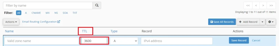 cPanel DNS Management: A Beginner’s Guide to DNS Settings, How to Specify Record Types, TTL Values, and Data