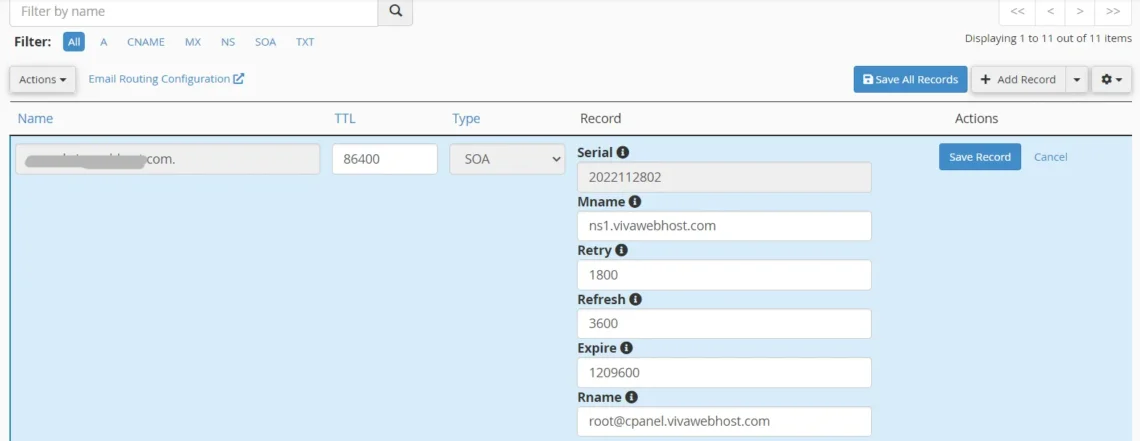 cPanel DNS Management: A Beginner’s Guide to DNS Settings, How to Edit DNS Records 2