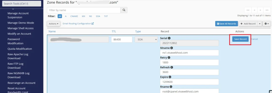 cPanel DNS Management: A Beginner’s Guide to DNS Settings, How to Edit DNS Records 3