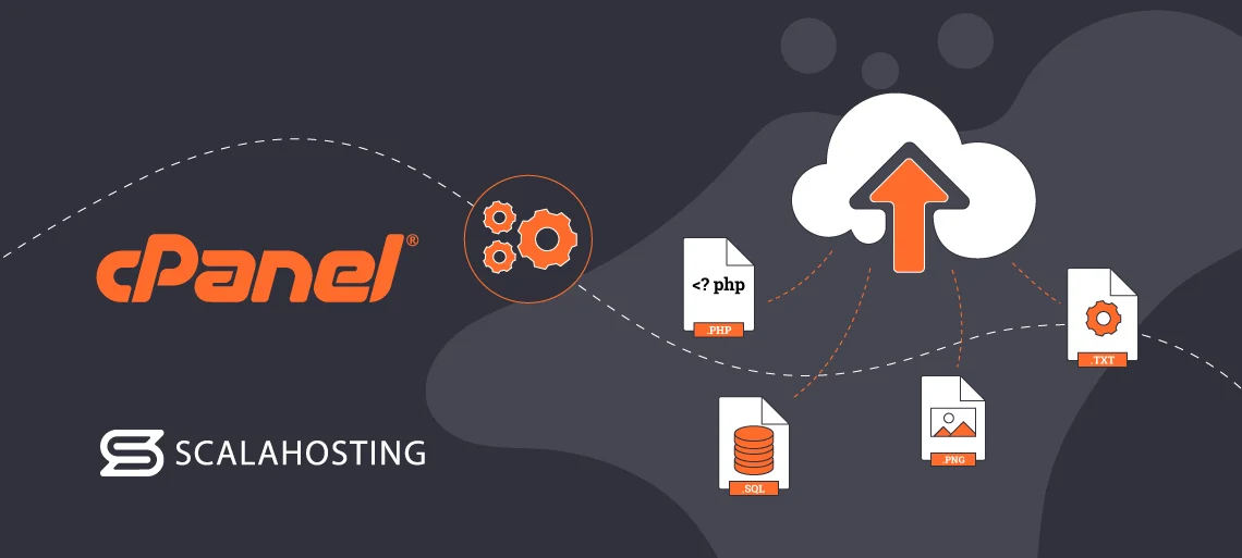 cPanel Backups Made Easy: How to Safeguard Your Website Data, Types of Backups