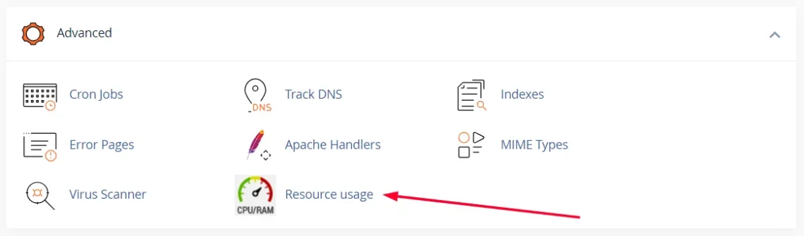 Understanding cPanel Resource Usage: Optimizing Performance and Efficiency, Accessing Resource Usage Information in cPanel