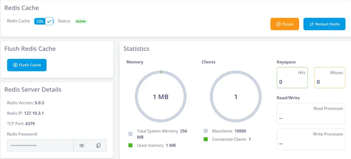 Redis Cache: Guide to High-Performance Caching Redis Cache: Guide to High-Performance Caching, ScalaHosting’s SPanel: Dedicated, Secure Redis Instances for Every Website