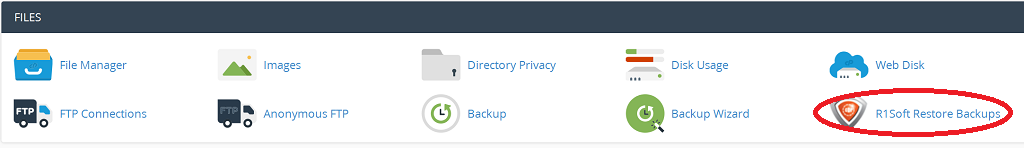 cpanel r1soft backups