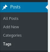 How to Create a WordPress Website (for Beginners), Tags