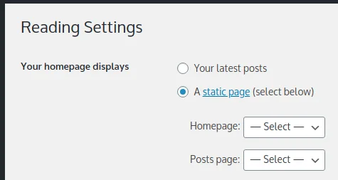 How to Create a WordPress Website (for Beginners), Setting the Homepage and Posts Page 4