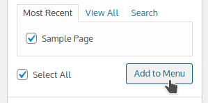 How to Create a WordPress Website (for Beginners), Working With Menus 4