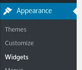 How to Create a WordPress Website (for Beginners), Working With Sidebars and Widgets