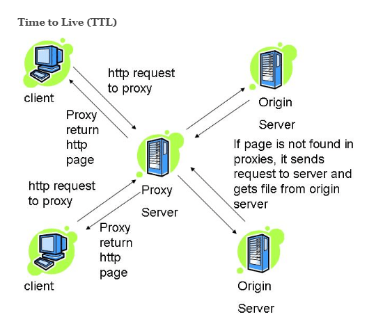 What factors affect DNS propagation time?, Time to Live (TTL)