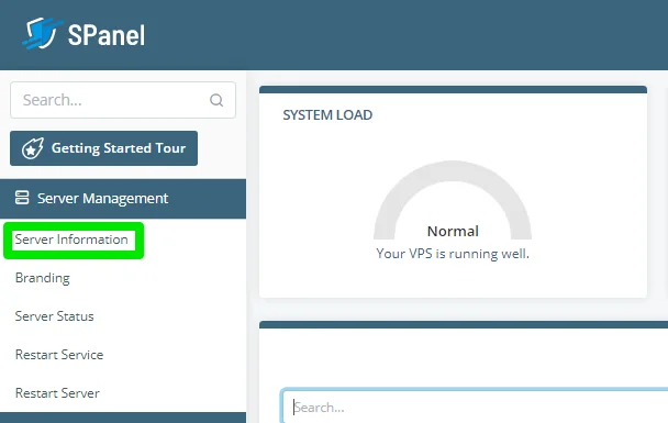 DNS Management