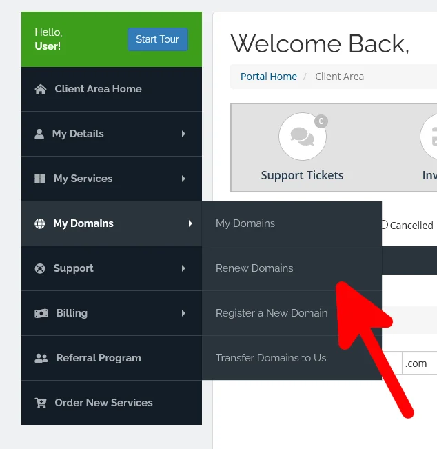 Domain renewal cost