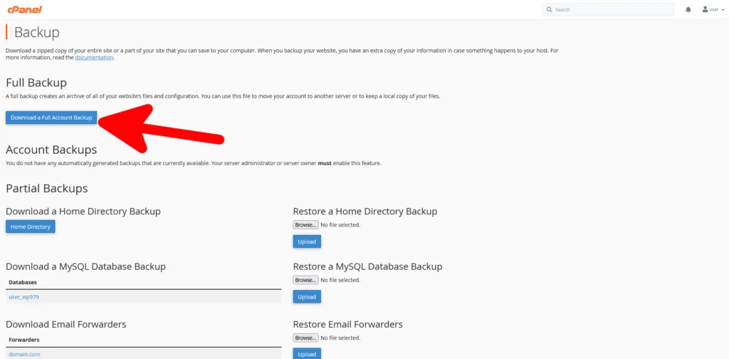 How to Generate a Full Backup in cPanel