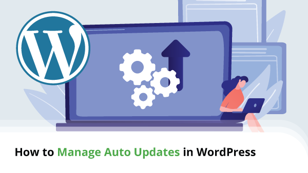 How to Manage Auto Updates in WordPress | ScalaHosting KB