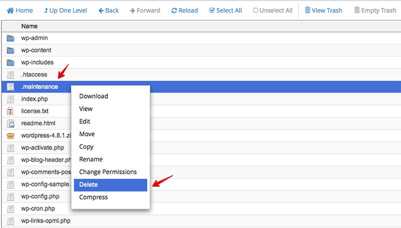 How to Manually Update WordPress?, Remove the .maintenance File