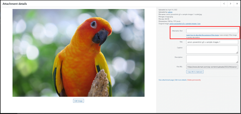 How to Add Multimedia to a WordPress Post, Adding Alt Text to Images