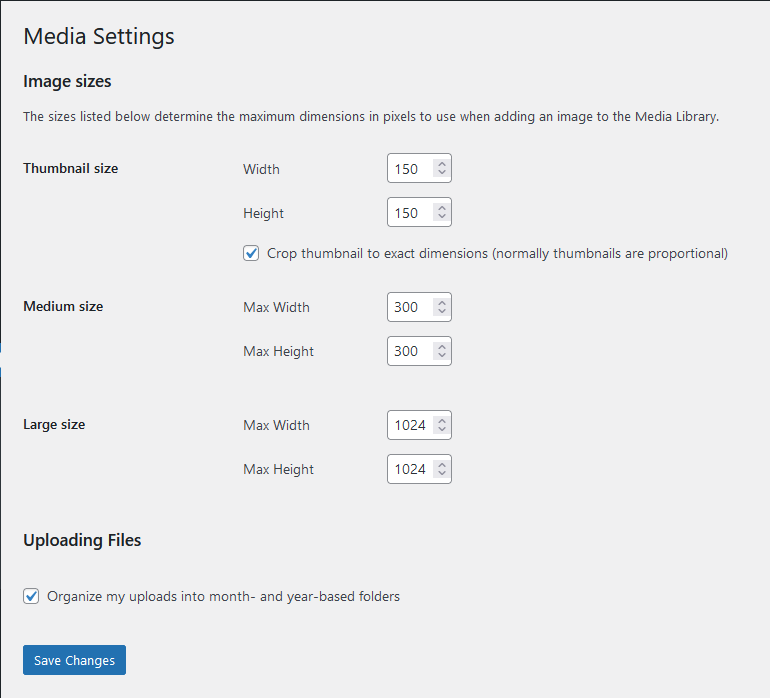 How to Add Multimedia to a WordPress Post, Is Image Size Important?