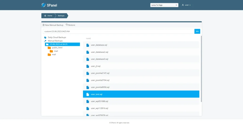 How to Back Up a MySQL Database, Database Backups in SPanel 6